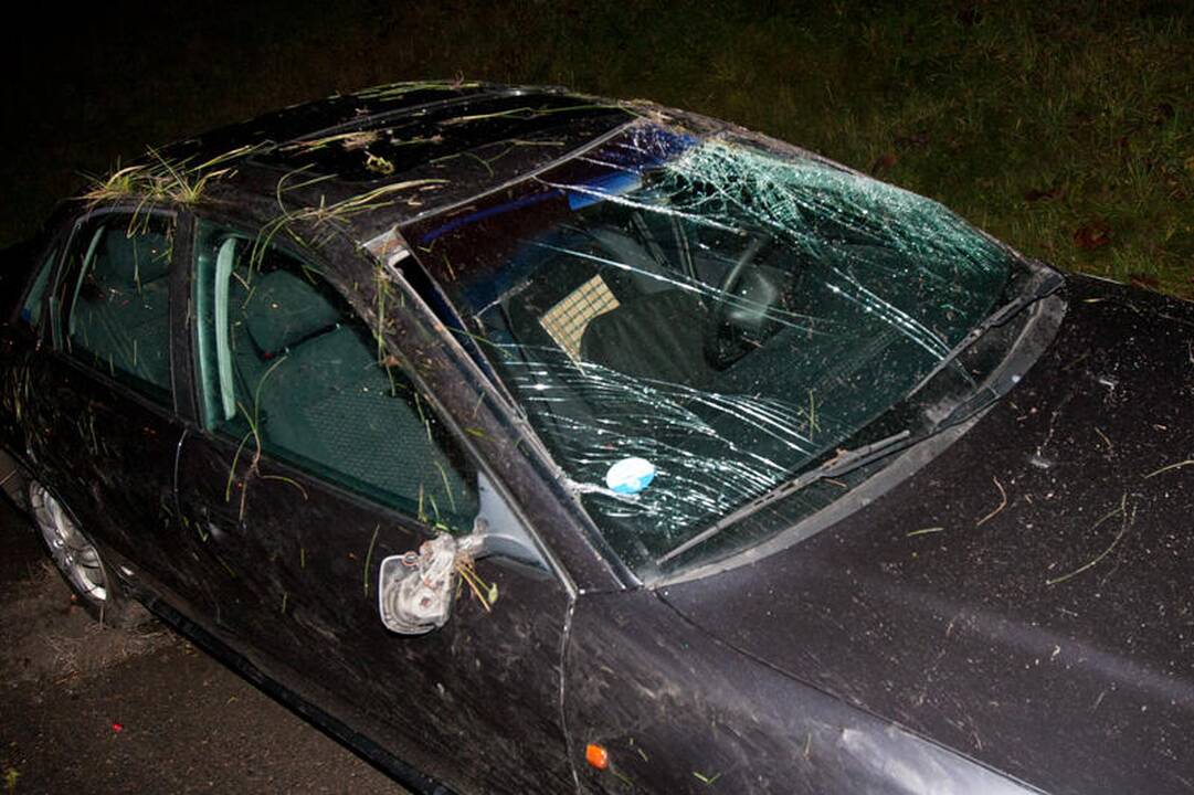 Vilniuje apvirtus automobiliui nukentėjo dešimtmetis vaikas