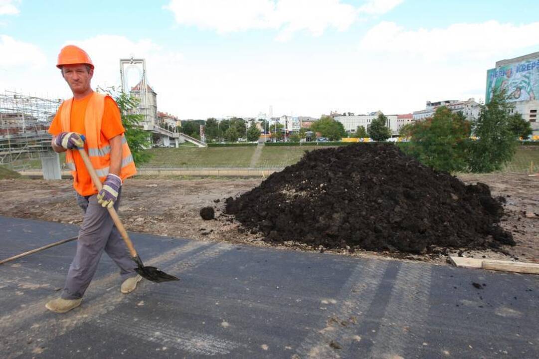 Prie arenos verda darbas