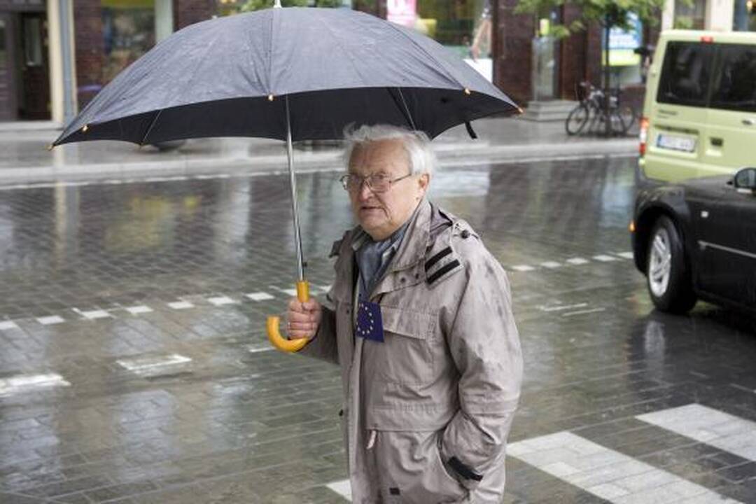 A.Čekuolis: reikia balsuoti, kad durniai nepatektų į EP