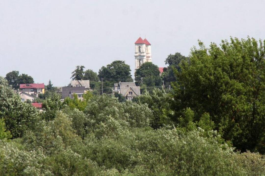 Laivas vėl plukdys į Kulautuvą 
