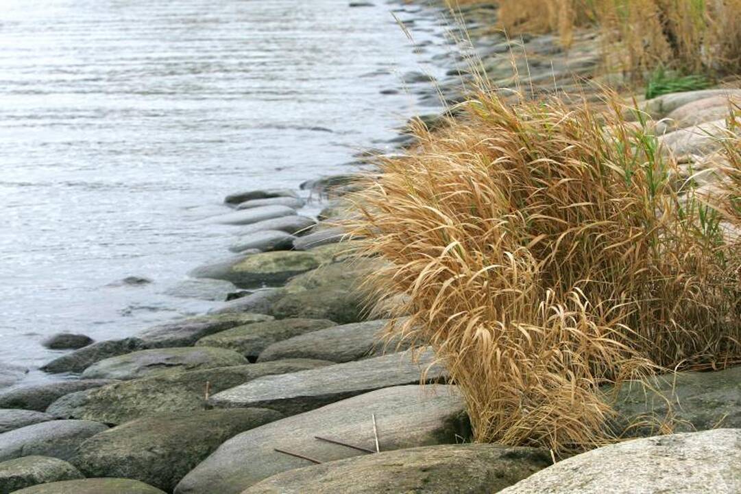 Šalčininkų rajone nuskendo žmogus