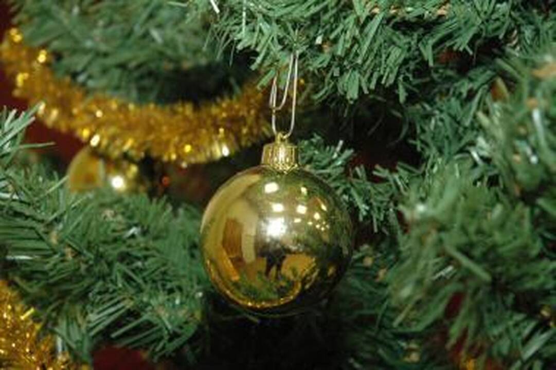 Vilniaus Mokytojų namai kviečia kartu atsisveikinti su eglutėmis
