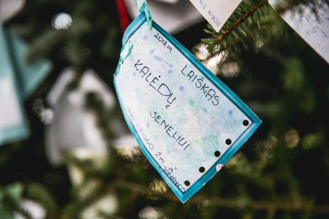 Ant auksinės eglės – daugiausia prašymų sulaukti meilės ir vaikų