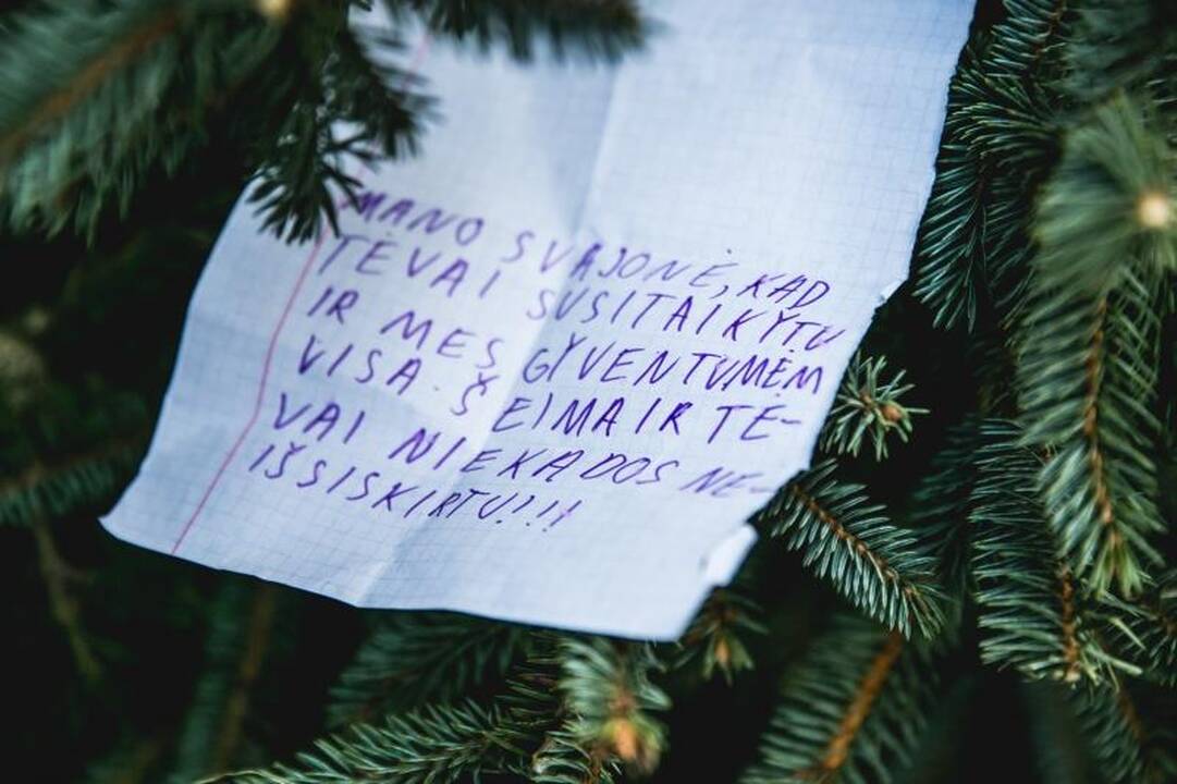 Ant auksinės eglės – daugiausia prašymų sulaukti meilės ir vaikų