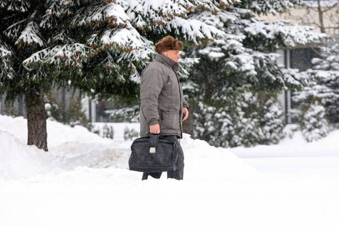 Ar kauniečiams šaltis nebaisus?