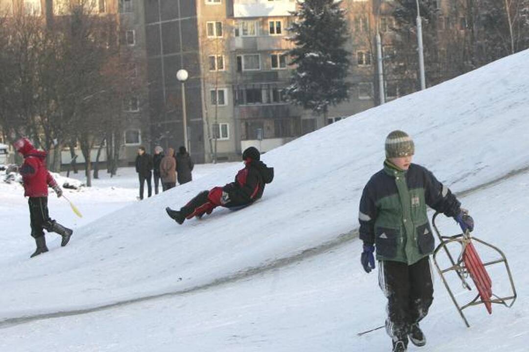 Ar kauniečiams šaltis nebaisus?