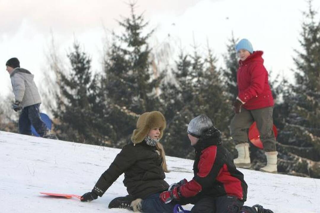 Ar kauniečiams šaltis nebaisus?