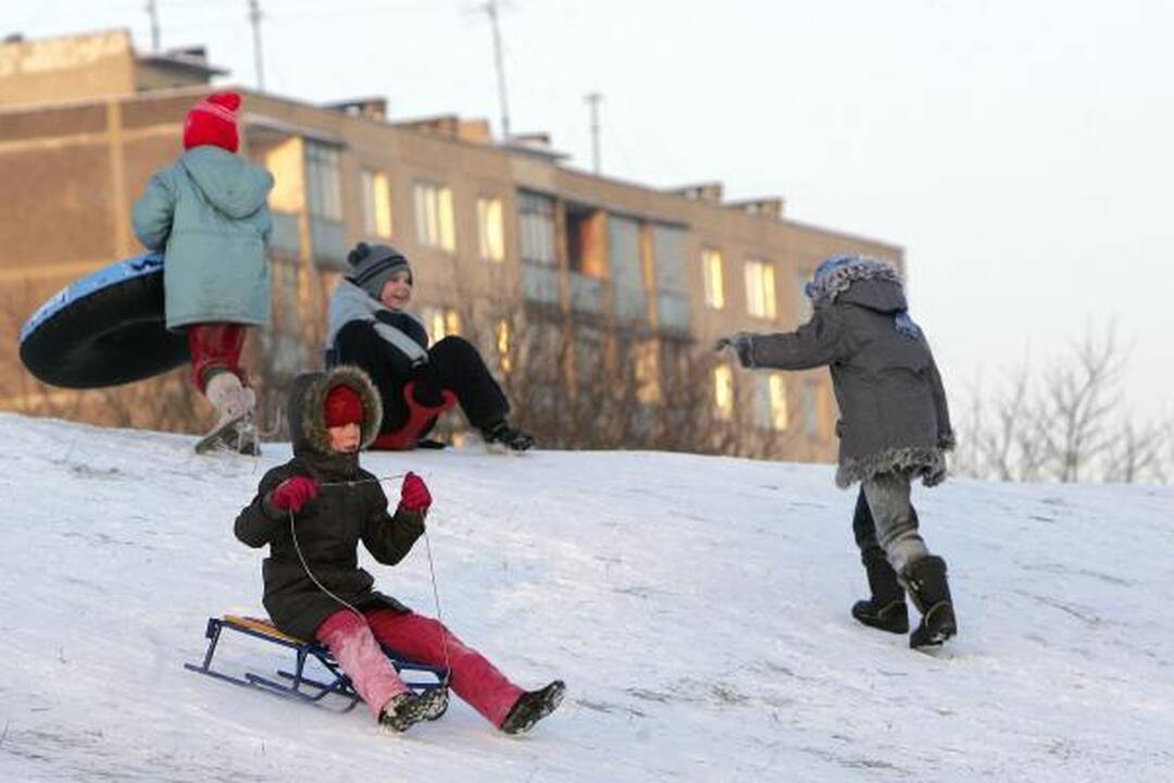 Ar kauniečiams šaltis nebaisus?