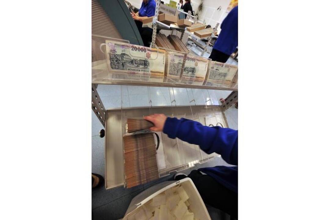 Vengrijoje humanitarinės organizacijos šildomos kūrenant banknotus