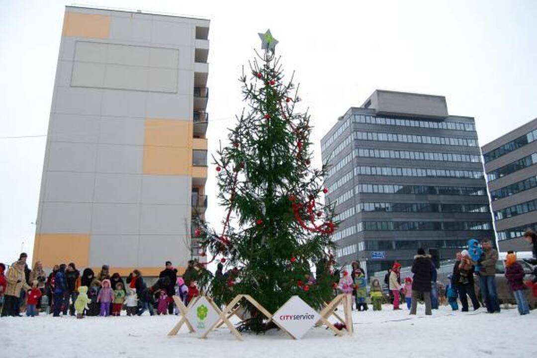 Kalėdų eglės įžiebtos devyniose Vilniaus seniūnijose