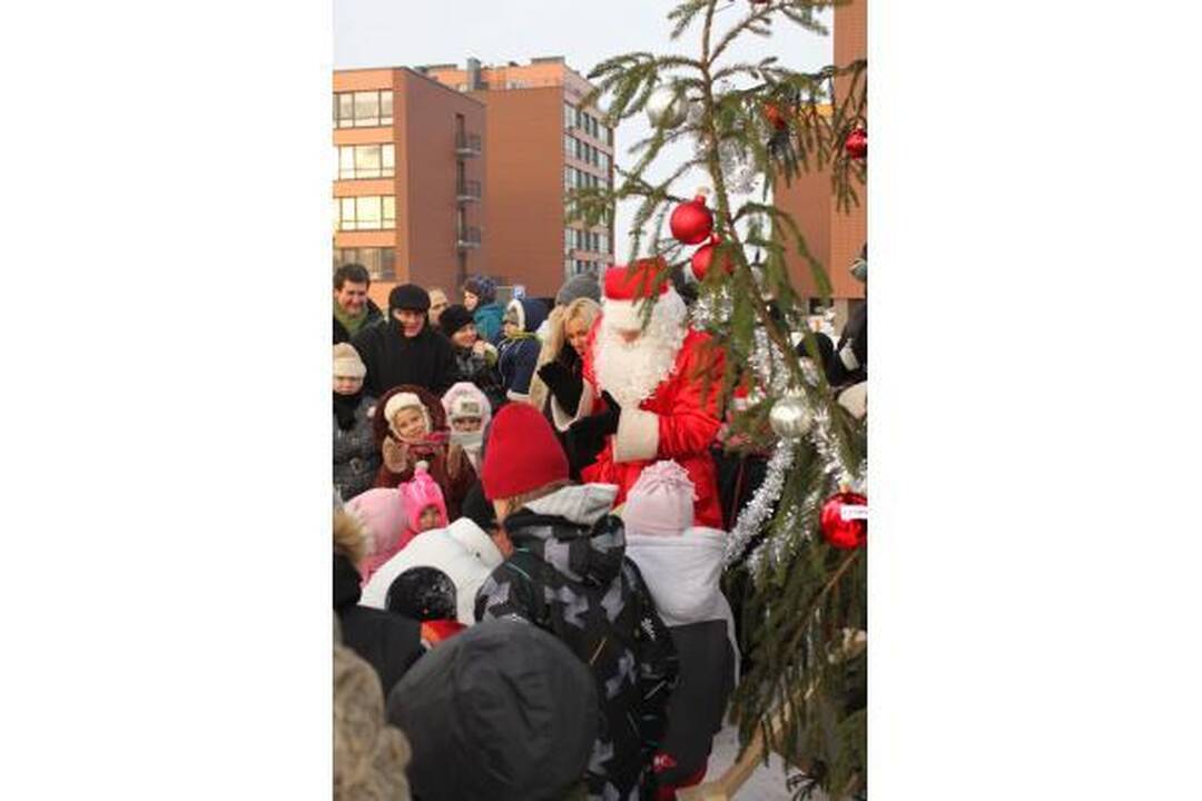 Kalėdų eglės įžiebtos devyniose Vilniaus seniūnijose