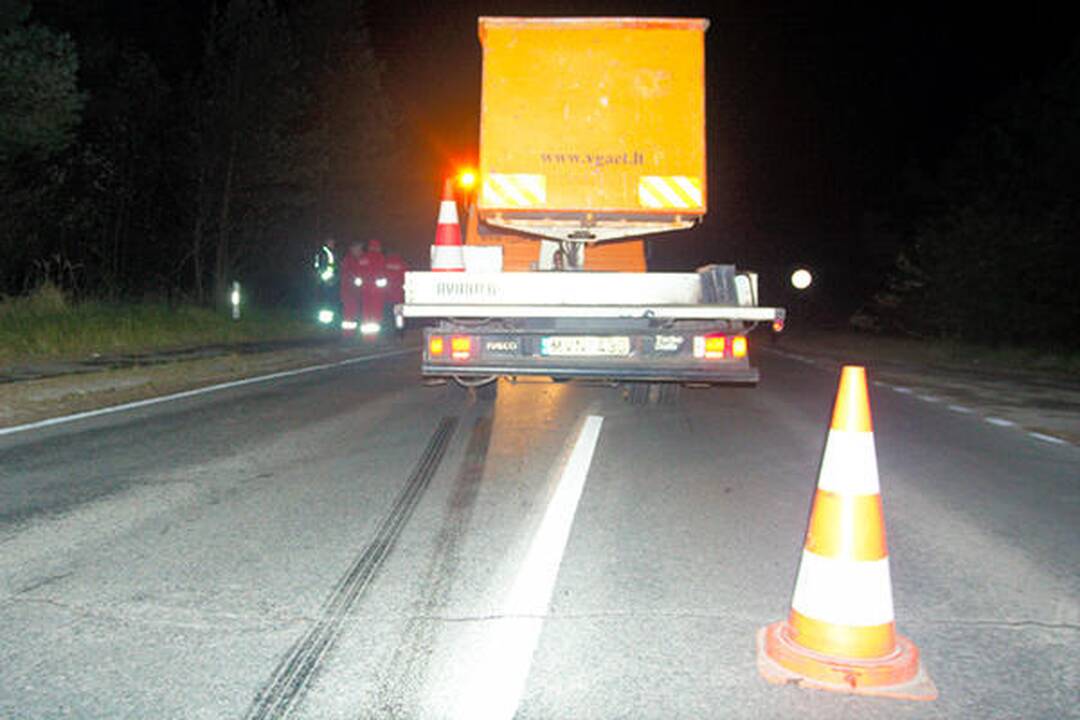 Nemenčinės plente moteris šoko po apšvietimo tinklų darbuotojų ratais