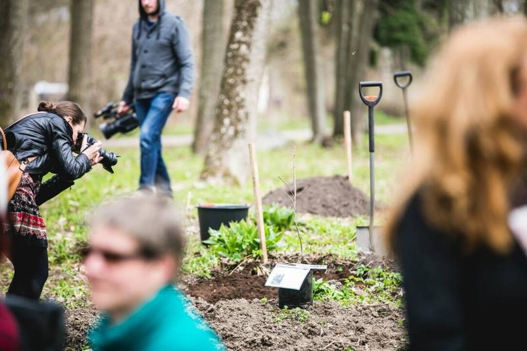 B. Galdikas į Lietuvą iš Indonezijos sugrįžo sodinti ąžuolų