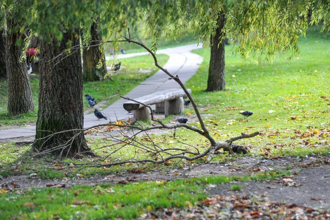 „Lesto“: elektros vis dar neturi apie 500 vartotojų