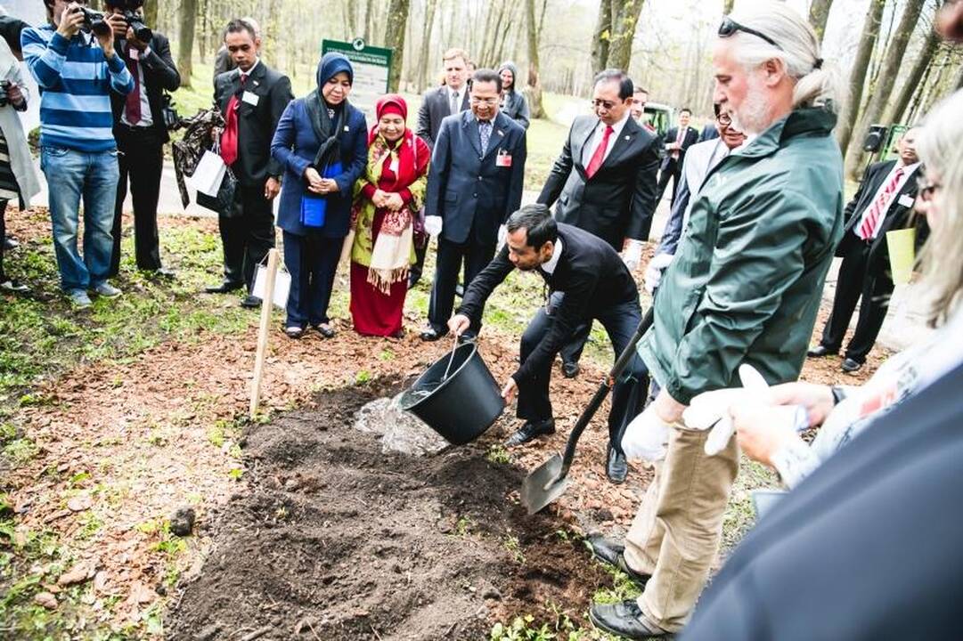 B. Galdikas į Lietuvą iš Indonezijos sugrįžo sodinti ąžuolų
