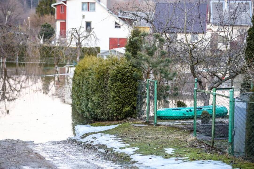 Pralaužęs pylimą Kauno rajone Nevėžis užliejo sodybas