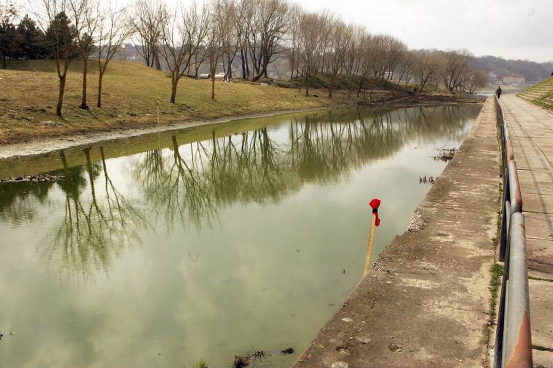 Dumblo vežimas iš salos prasidėjo nesėkme  