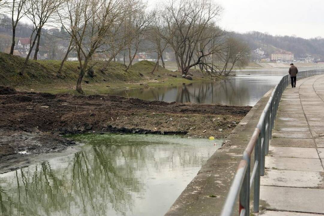 Dumblo vežimas iš salos prasidėjo nesėkme  
