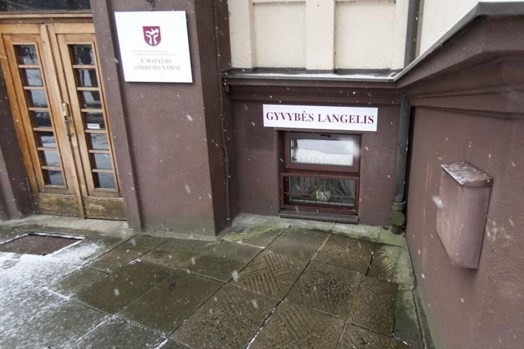 Dvynukių mama: aš nepalikau jų gyvybės langelyje! 