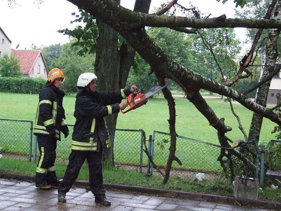 Elektros dar neturi keli šimtai vartotojų