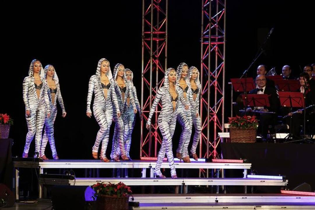 Klaipėdos areną sudrebino naujametinė „Žuvėdros“ fiesta