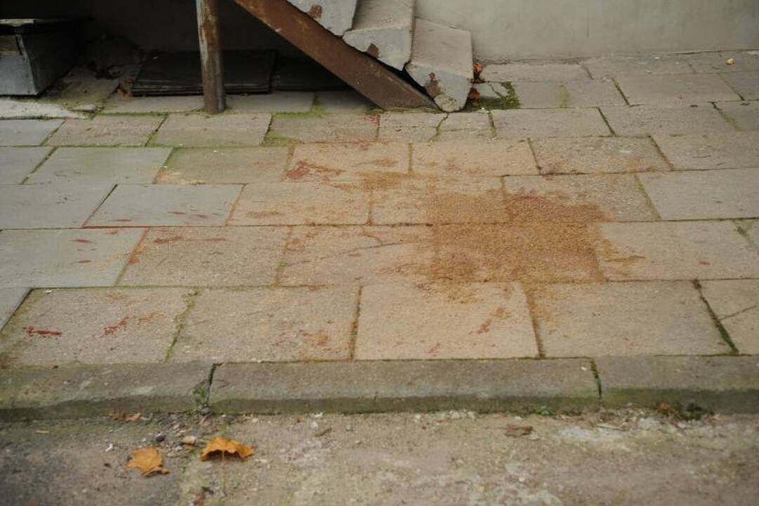 Liudininkai: žūties išvakarėse A. Kaušpėdaitė elgėsi keistai