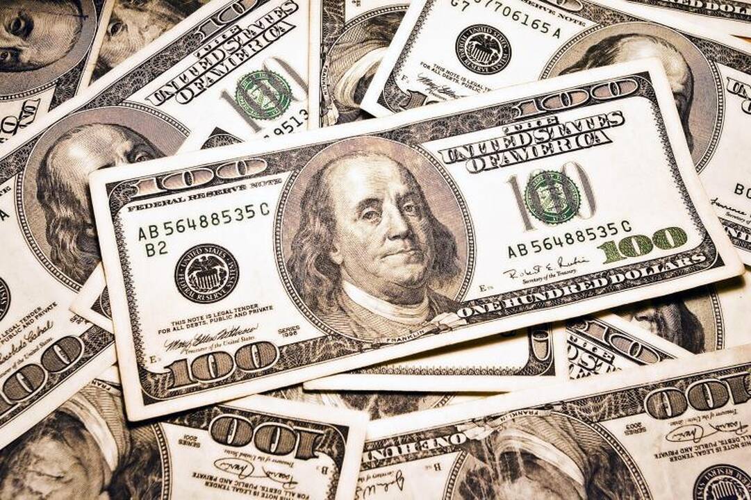 Teismas: N.Veličkienė turės sumokėti 6 mln. dolerių