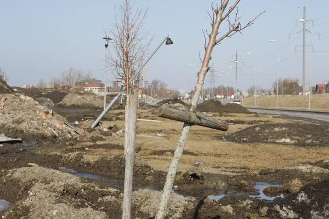 Pievų gatvėje tebevyrauja netvarka