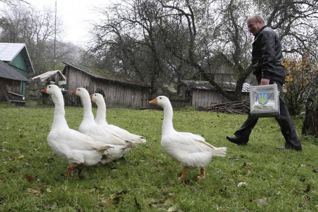 Ukrainoje prasidėjo Rados rinkimai (atnaujinta 11:29 val.)