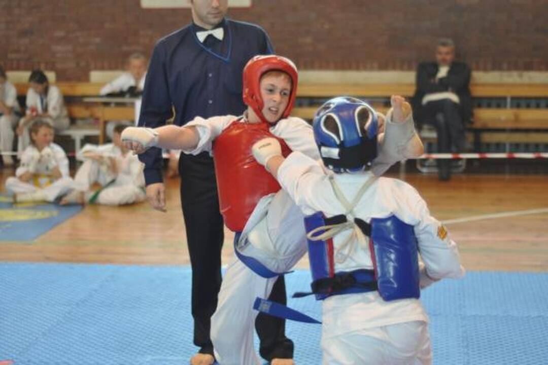 „Shodan“ kovojo Birštone