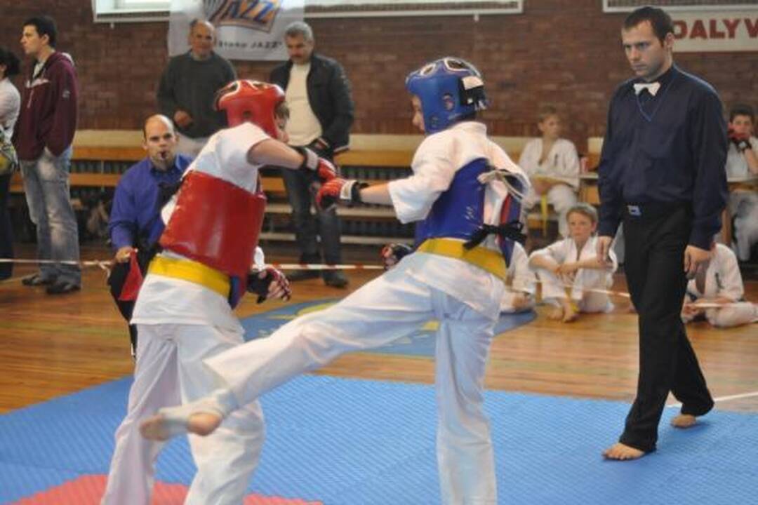 „Shodan“ kovojo Birštone