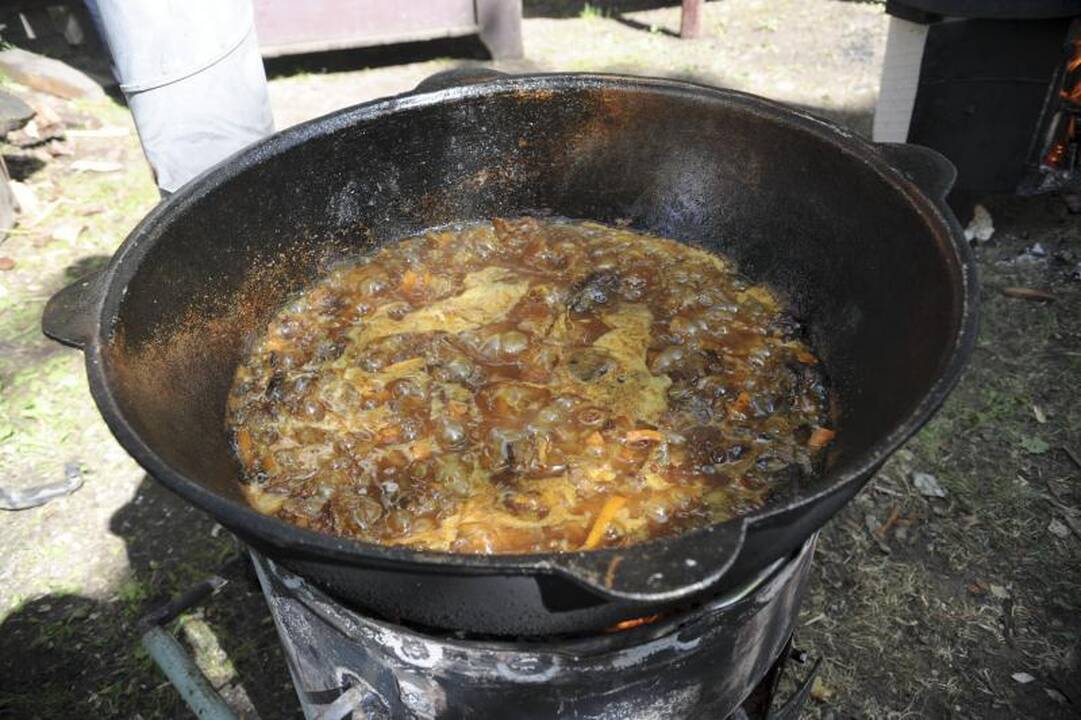  Trakuose šurmuliavo totorių sabantujus 