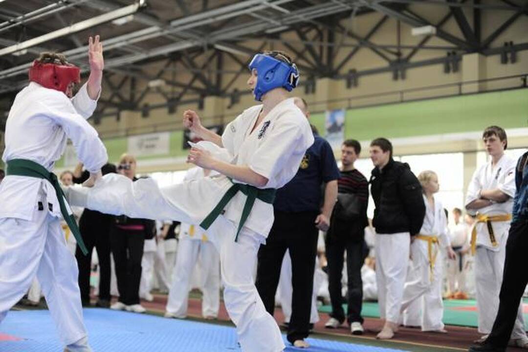 “Shodan” sportininkai Vilniuje laimėjo net 118 medalių