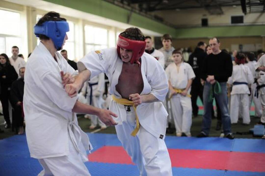 “Shodan” sportininkai Vilniuje laimėjo net 118 medalių