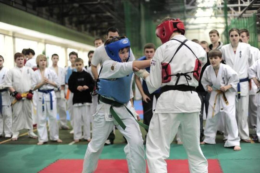 “Shodan” sportininkai Vilniuje laimėjo net 118 medalių