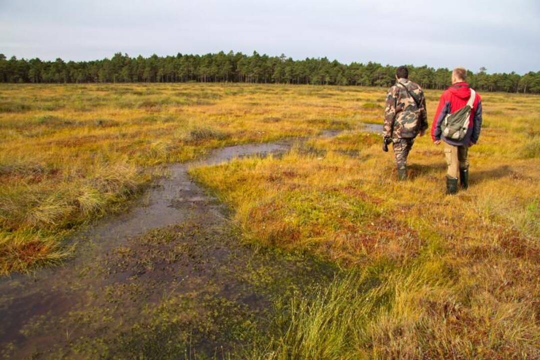 Kelionė po Kamanų valstybinį  gamtinį rezervatą