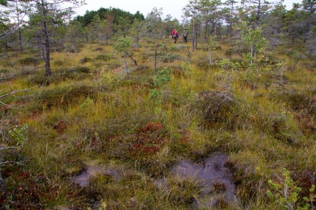 Kelionė po Kamanų valstybinį  gamtinį rezervatą