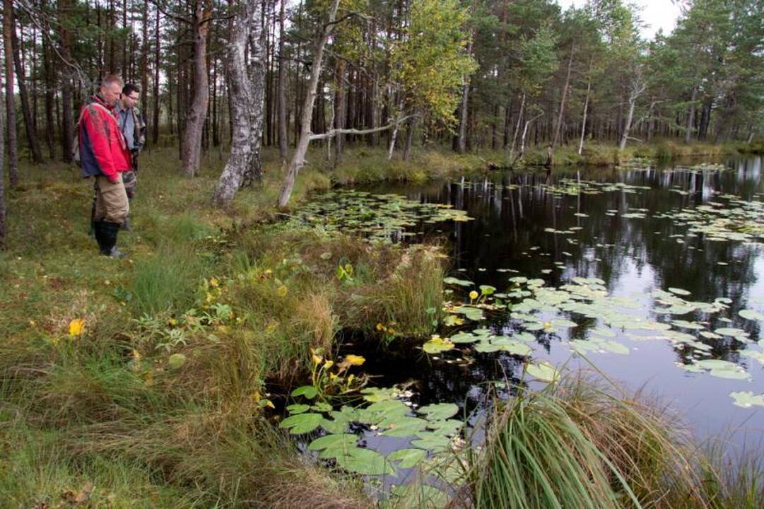 Kelionė po Kamanų valstybinį  gamtinį rezervatą