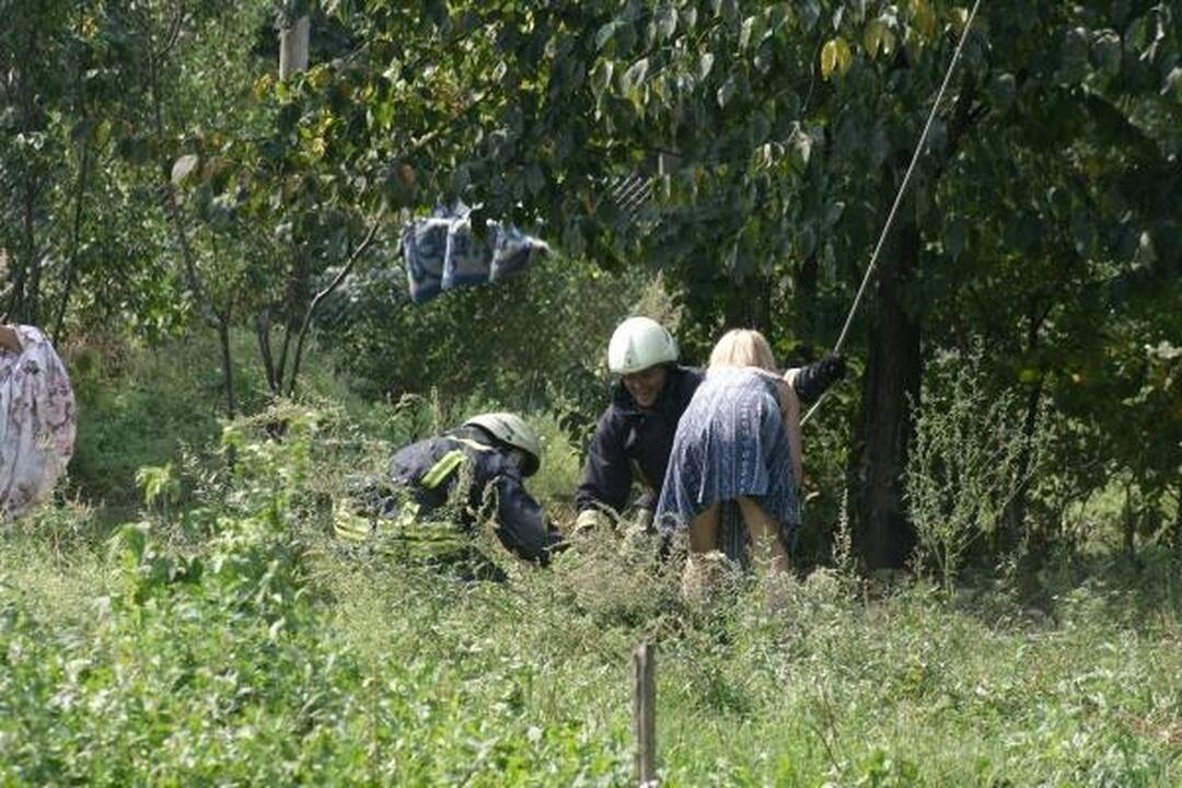 Šunų prieglaudoje – katės gelbėjimo operacija