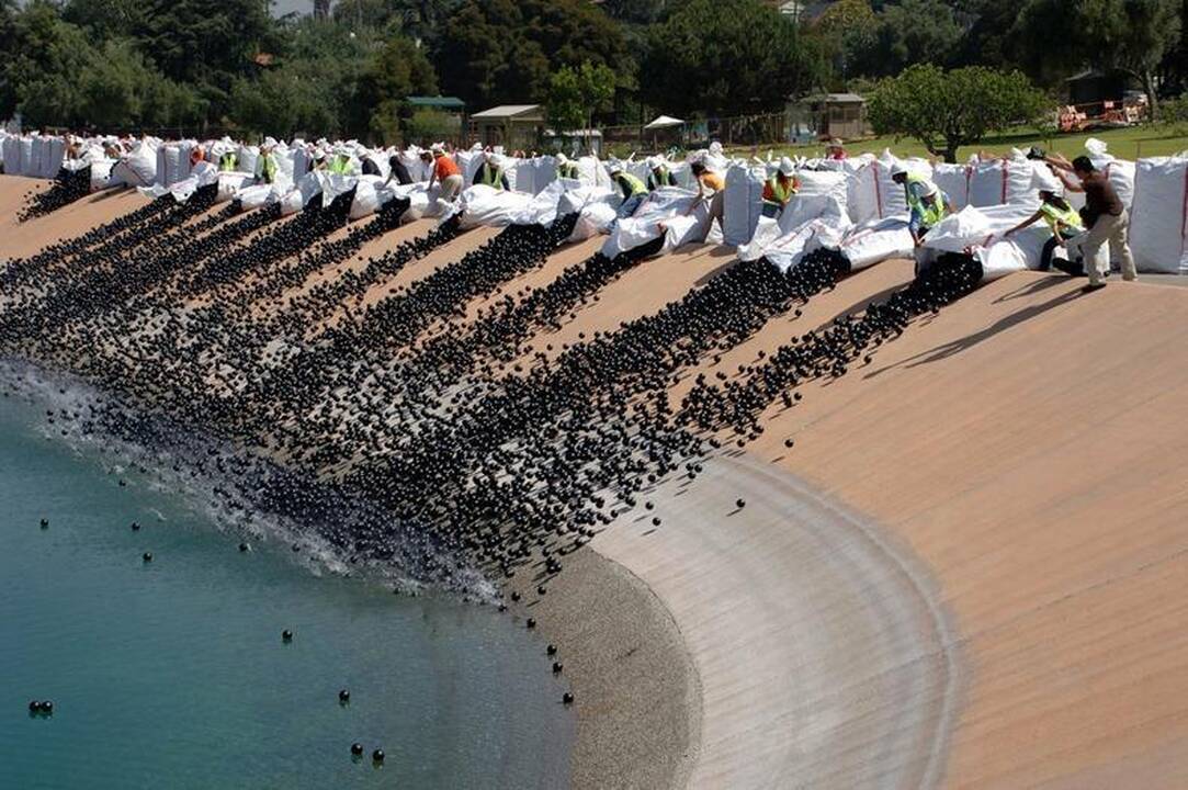 Los Andželo vandens talpyklą užpildė 400 tūkst. juodų kamuoliukų