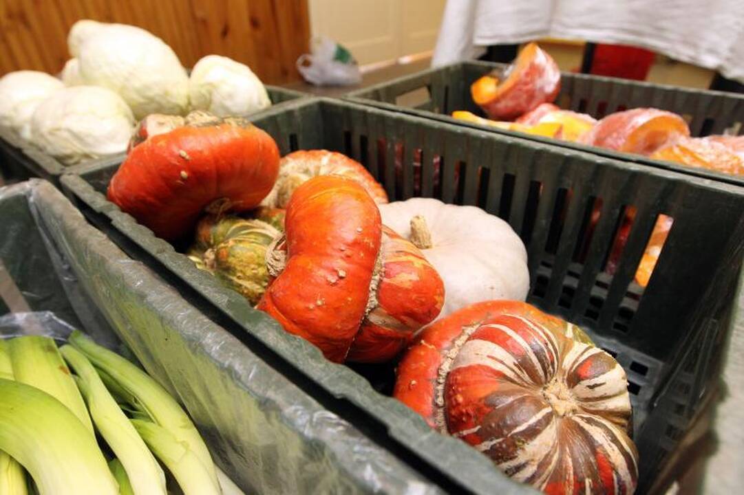 Šeštadienį sostinėje – ekologiškų gėrybių mugių gausa