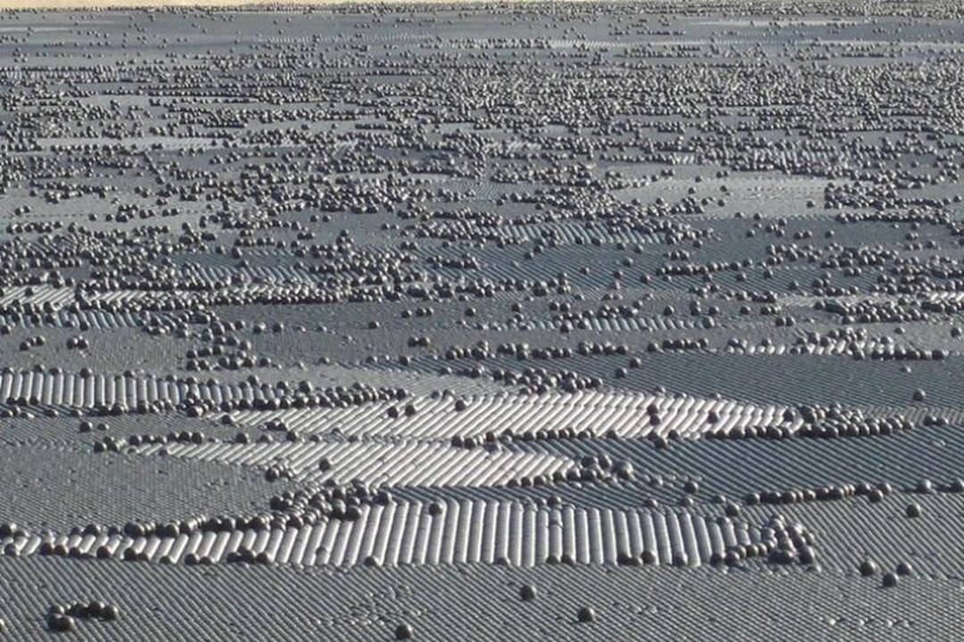 Los Andželo vandens talpyklą užpildė 400 tūkst. juodų kamuoliukų