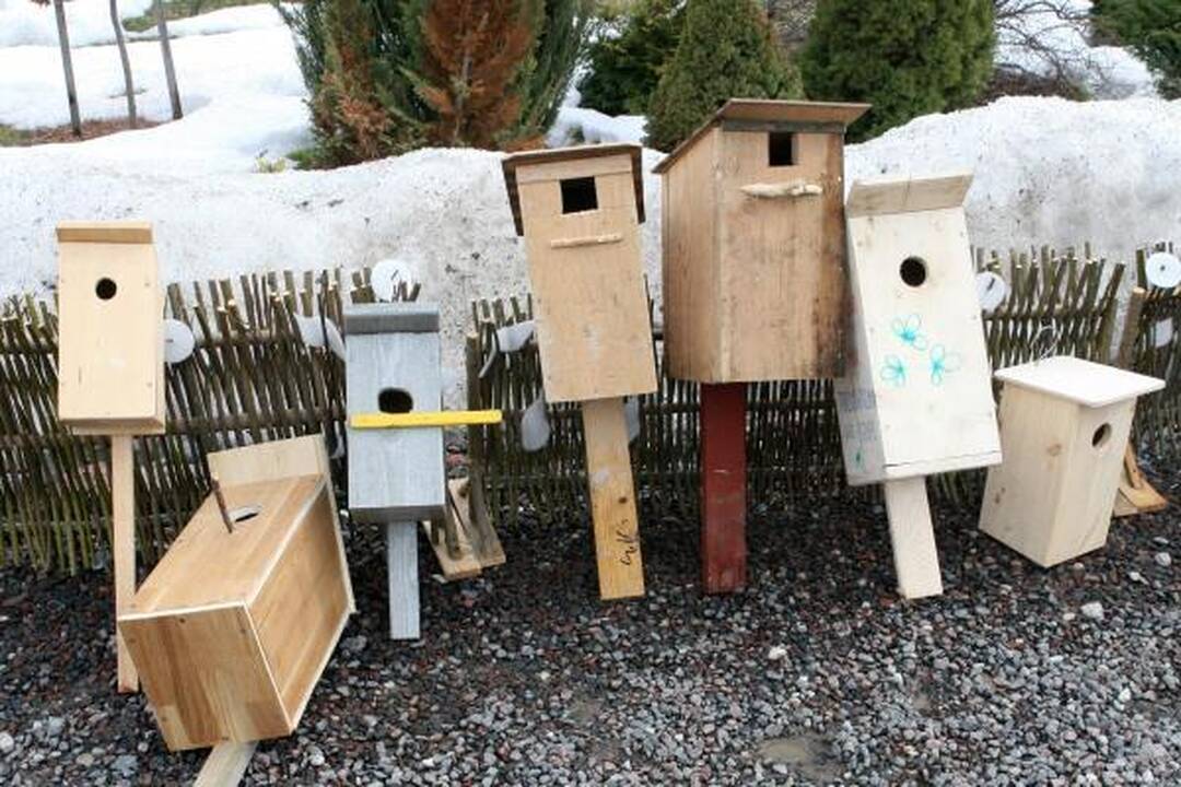Žemės dienai – linksmas šurmulys Botanikos sode