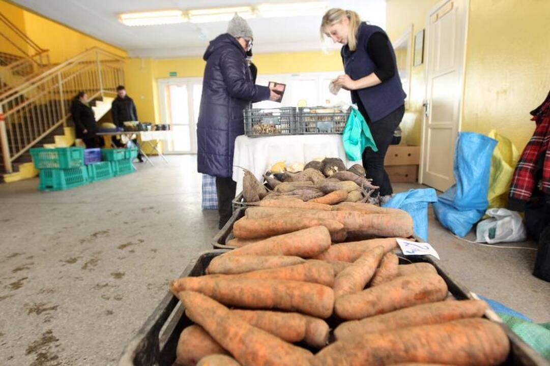 Šeštadienį sostinėje – ekologiškų gėrybių mugių gausa
