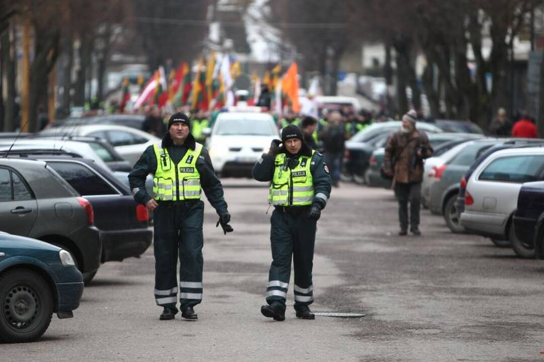 Provokacija nepavyko: tautininkų eitynės baigėsi sugiedojus himną