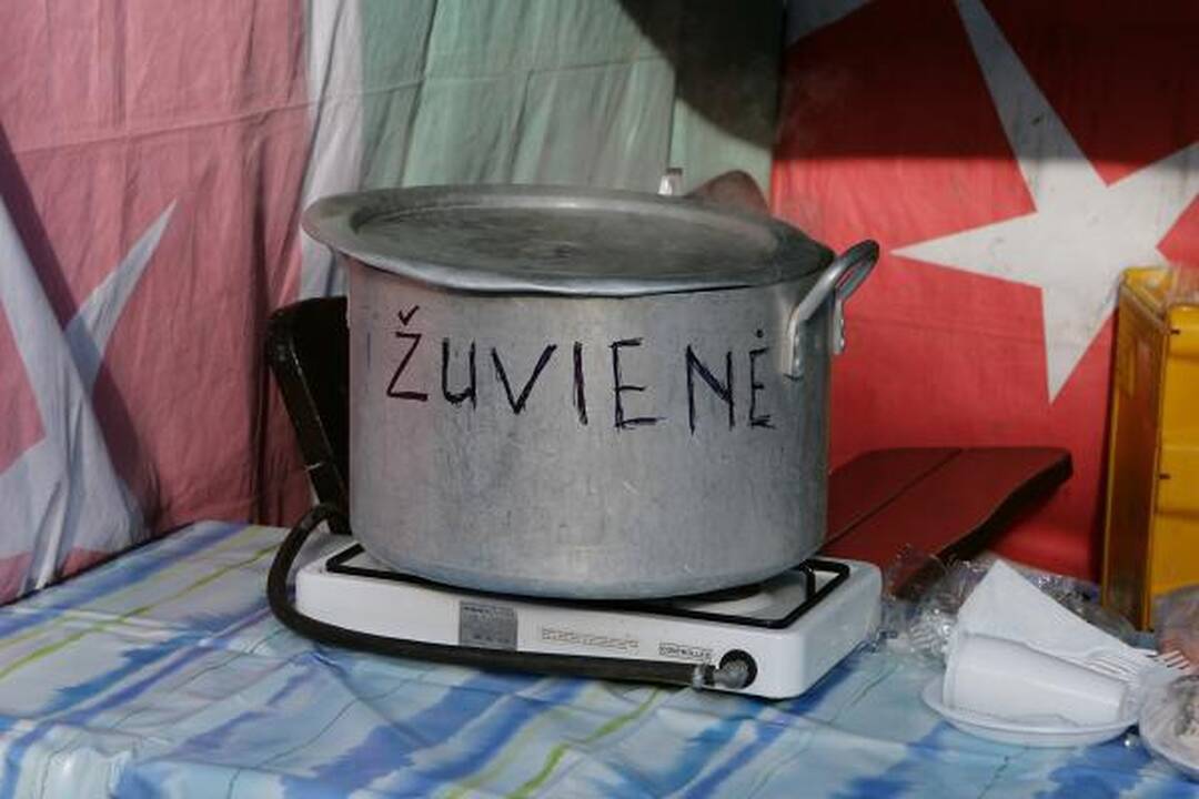 Palanga viliojo stintomis ir sveikuolių maudynėmis