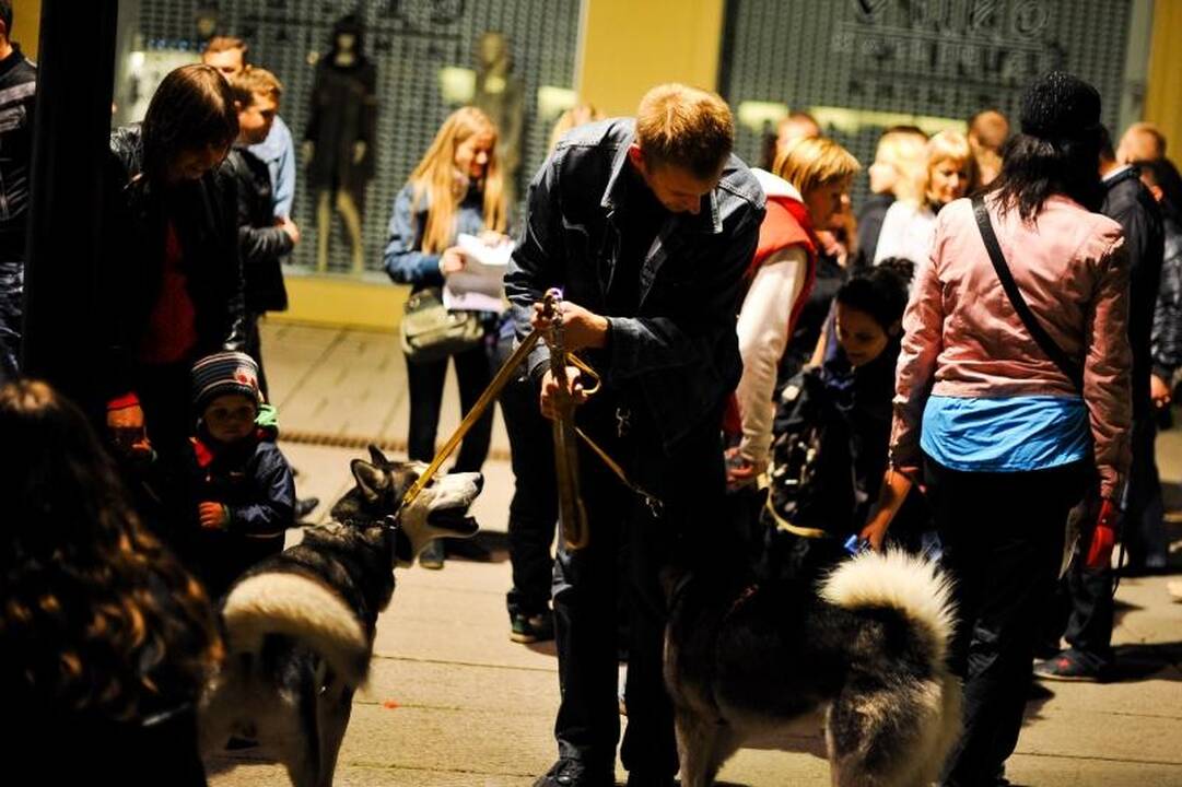 Miestas pulsavo „Kauno naktų“     ritmu 