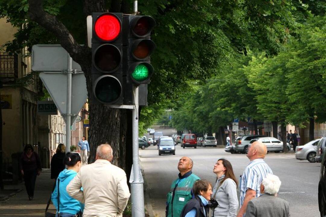 Avarijos kaltininkas – žalias šviesoforo signalas