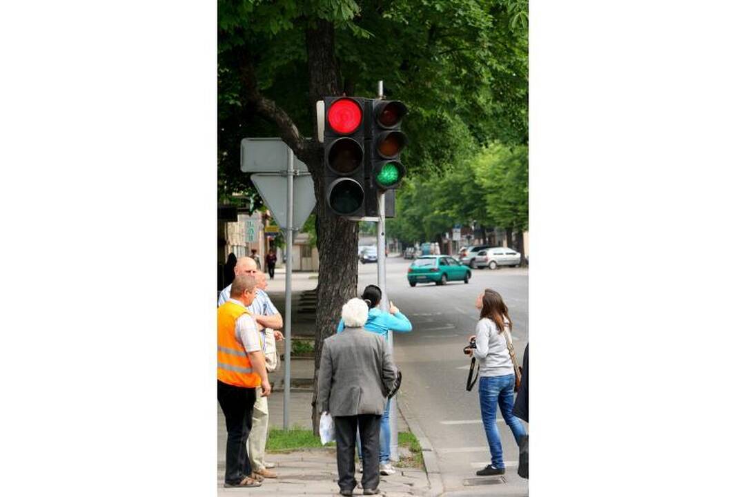 Avarijos kaltininkas – žalias šviesoforo signalas