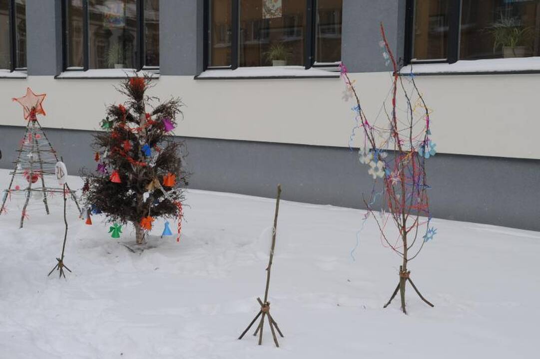 Vilniaus centrą papuošė neįprastos gimnazistų eglutės